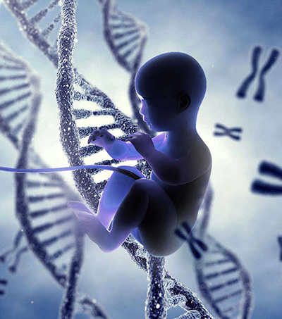 Anne Kanından DNA (cell-free DNA / NIPT) Testi ve Fiyatı